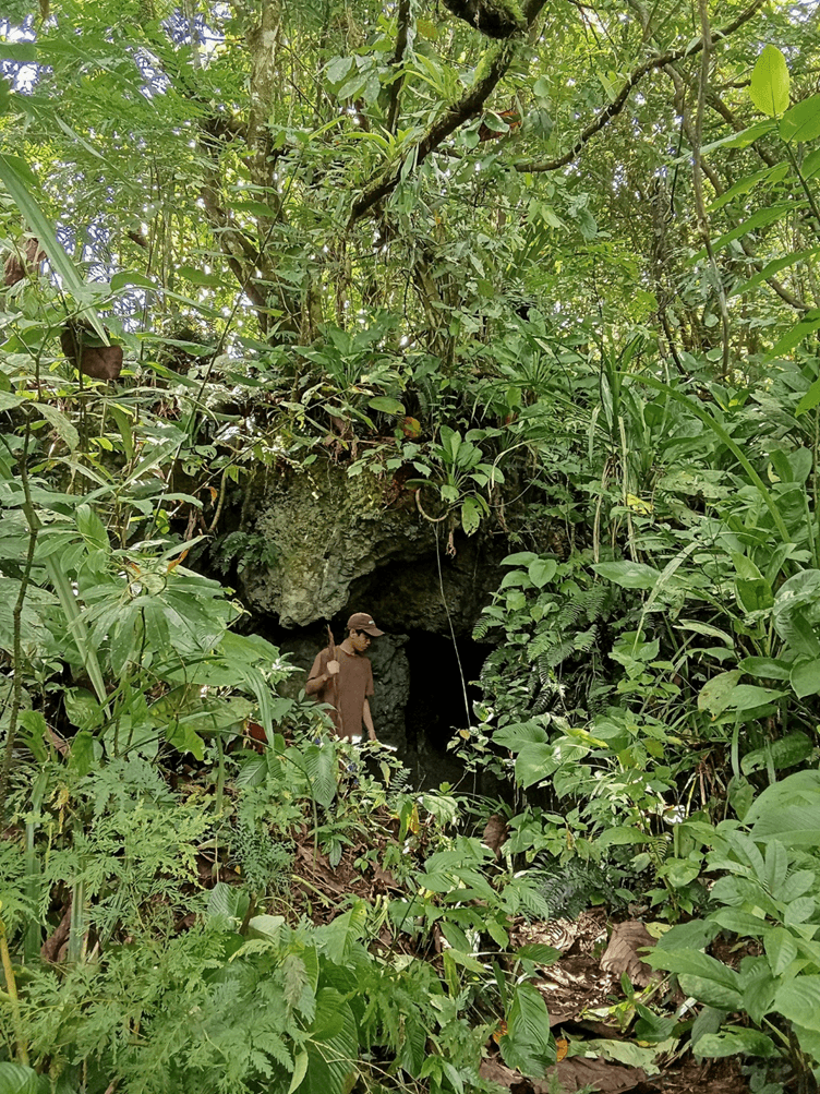 The entrance to Pagang-pagang Cave in Paril surrounded by dense tropical vegetation, with a person standing beside the opening.